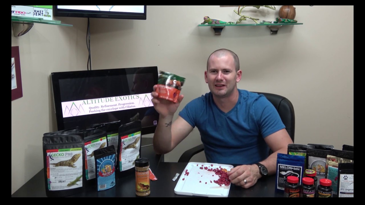 ULTIMATE Crested Gecko Food Review