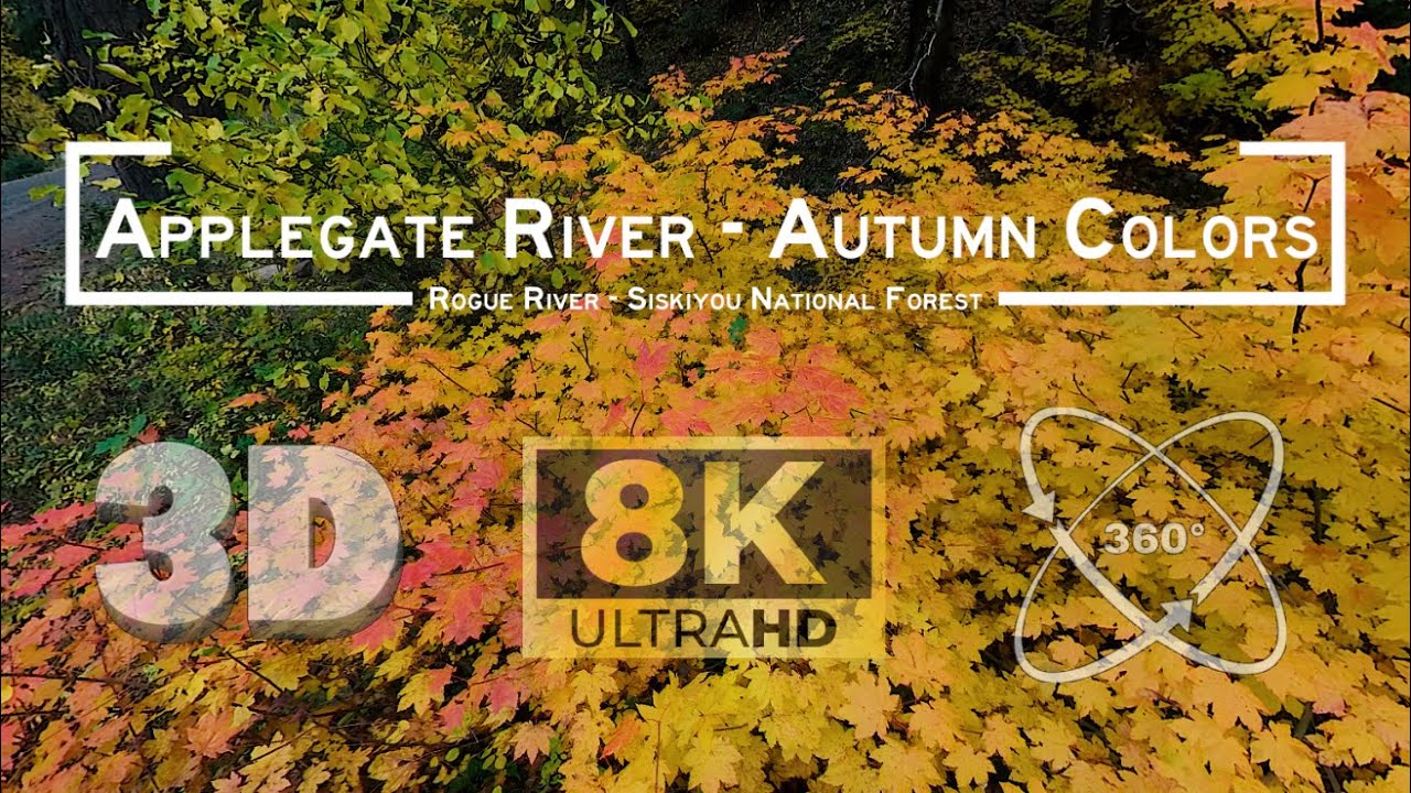 PNW Autumn River Escape | 8K 3D Ambisonic Immersive VR – Upper Applegate River Valley