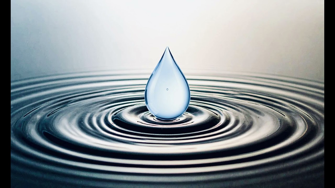 Never Saw the Fight in Me