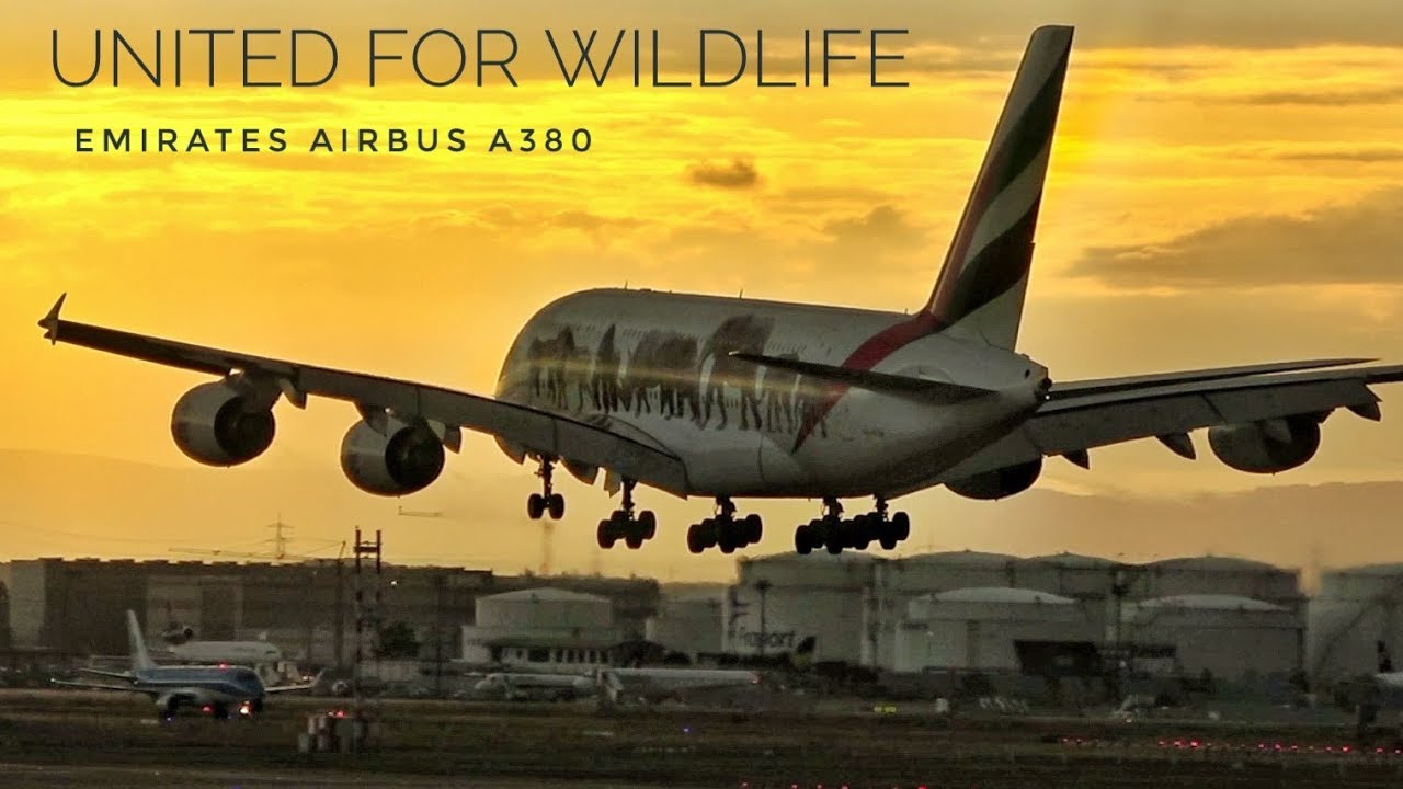 FRANKFURT AIRPORT PLANESPOTTING 2019 incl. Emirates Wildlife A380, Saudia B747-400, MD-11 etc.