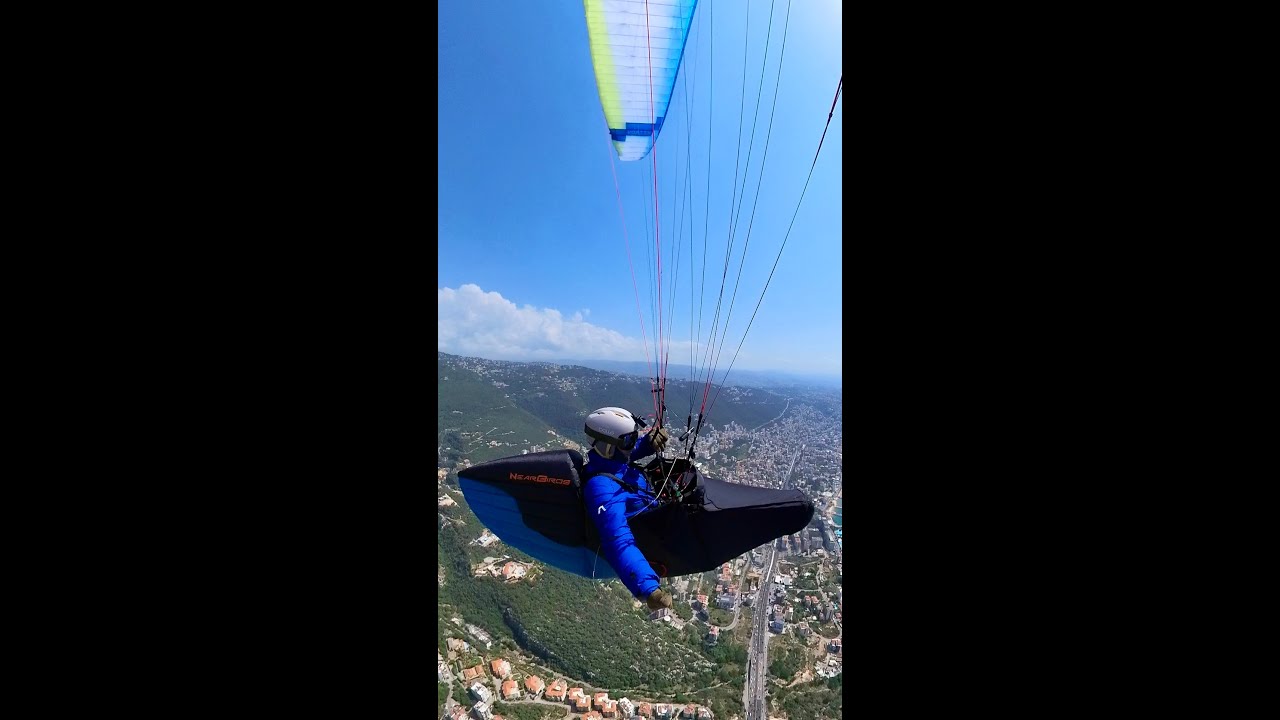 Nearbirds Zippy 3