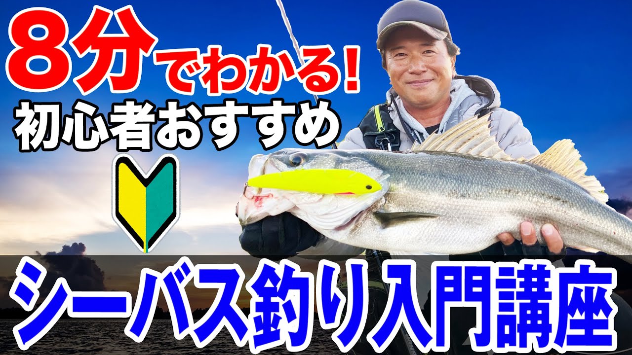 【シーバス釣り入門講座】初心者が最短でシーバスを釣るための方法！オヌマンのシーバス塾
