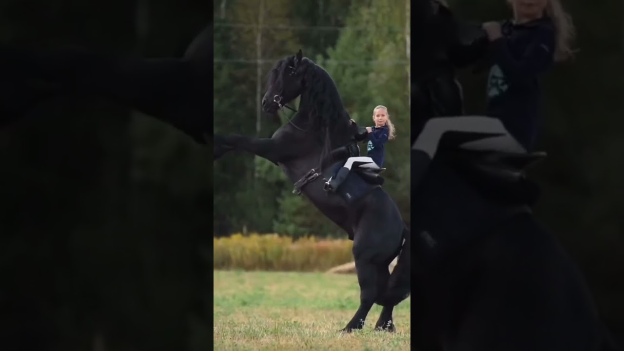 Horse rearing