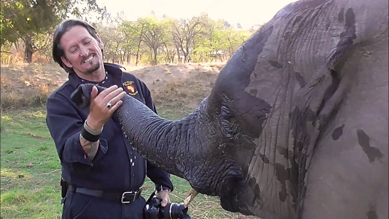 Tender moment with an Elephant called Moyo