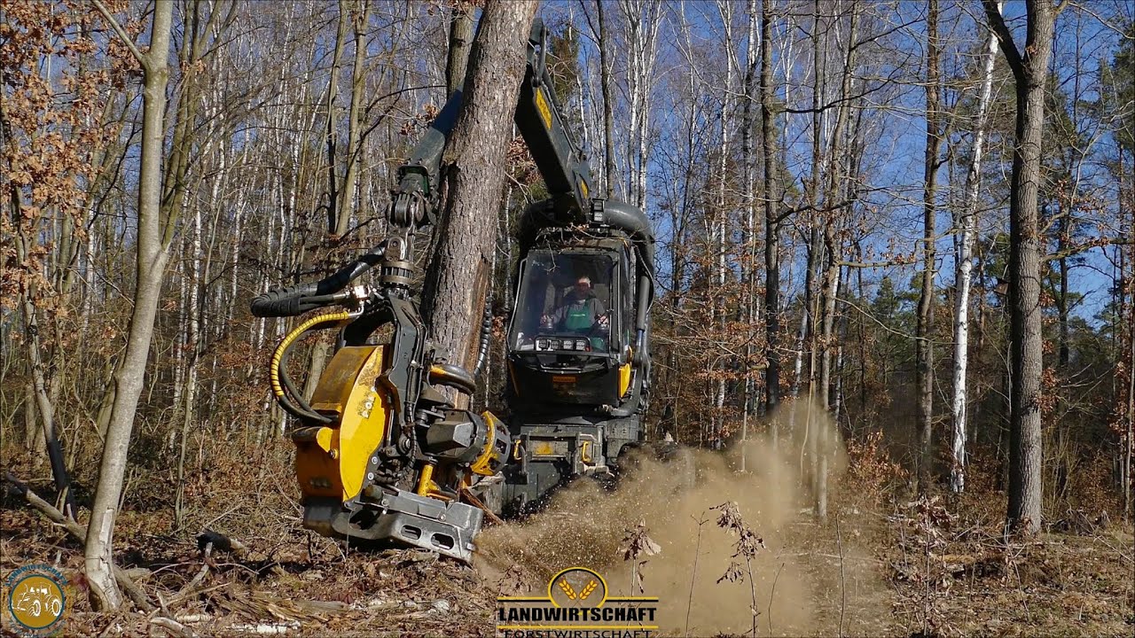 Harvester im Starkholz Ponsse Scorpion King m. H6 Aggregart & 64 cm Fälldurchmesser Holzernte 2021
