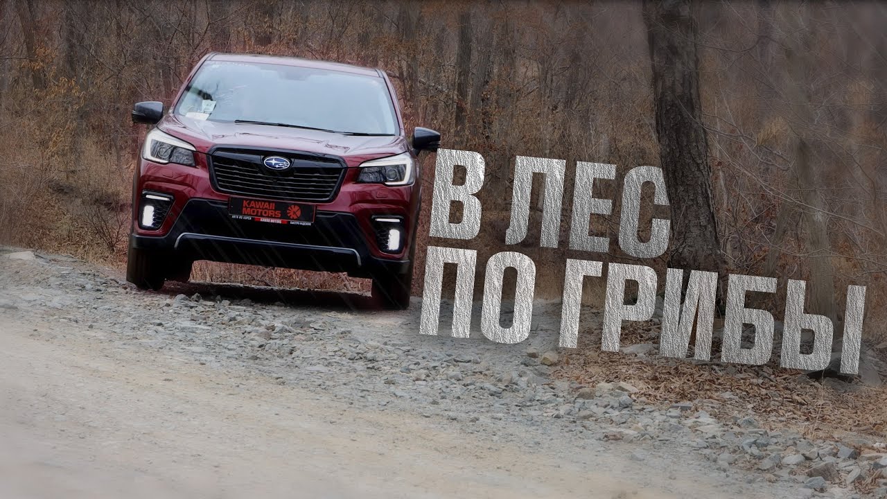 ВЕЧНЫЙ СПУТНИК ПРИКЛЮЧЕНИЙ | SUBARU FORESTER SK5 ОБЗОР
