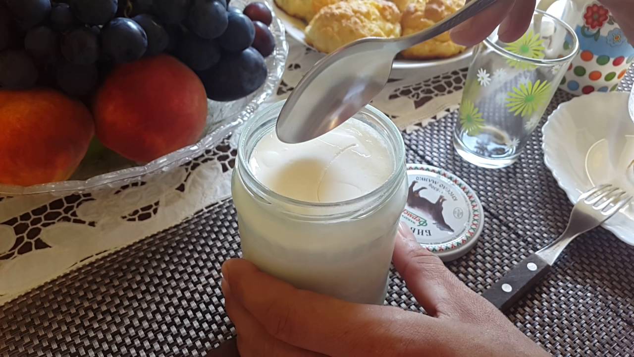 As&iacute; es un yogur b&uacute;lgaro de verdad 🐐🐄🐂