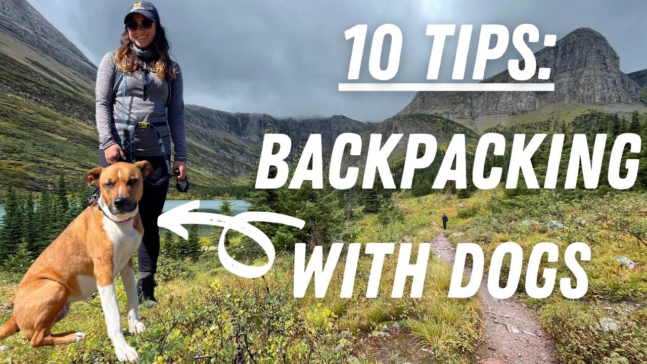 What you NEED TO KNOW to BACKPACK with a DOG | 10 tips for how to start backpacking with a dog