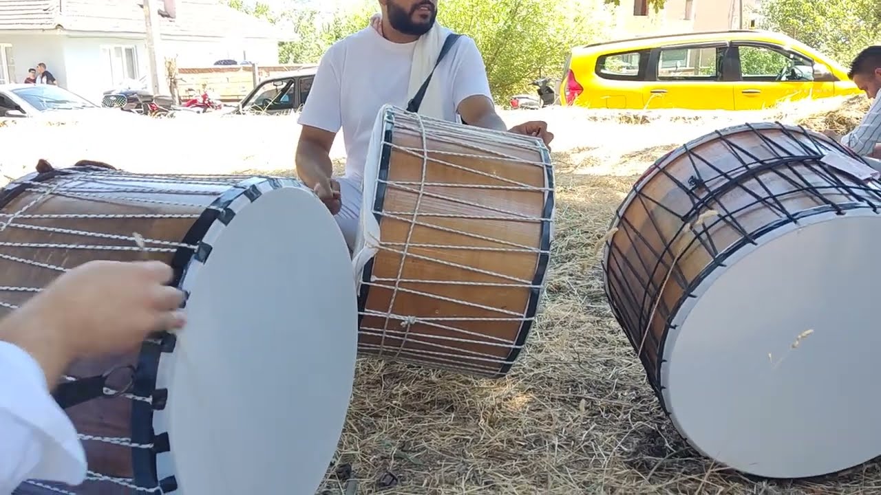 Haydar Haydar 