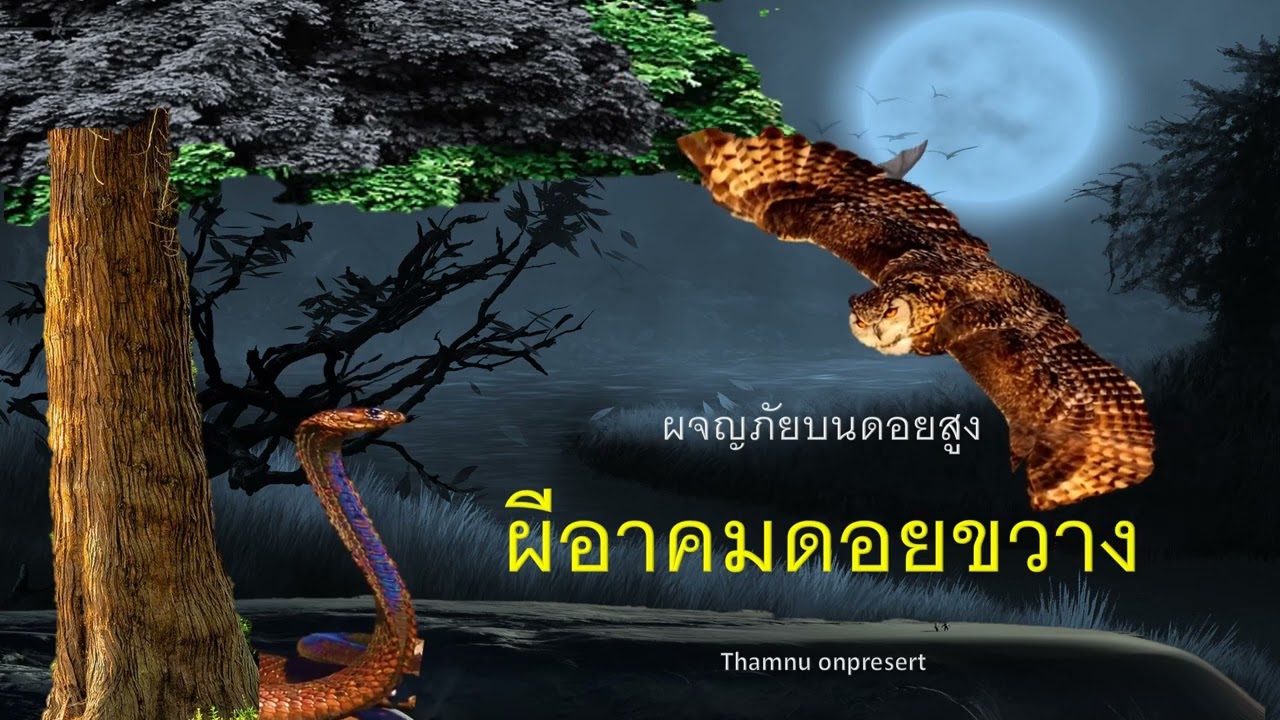 ๑๒๕. ผีอาคม ดอยขวาง ผจญภัยบนดอยสูง