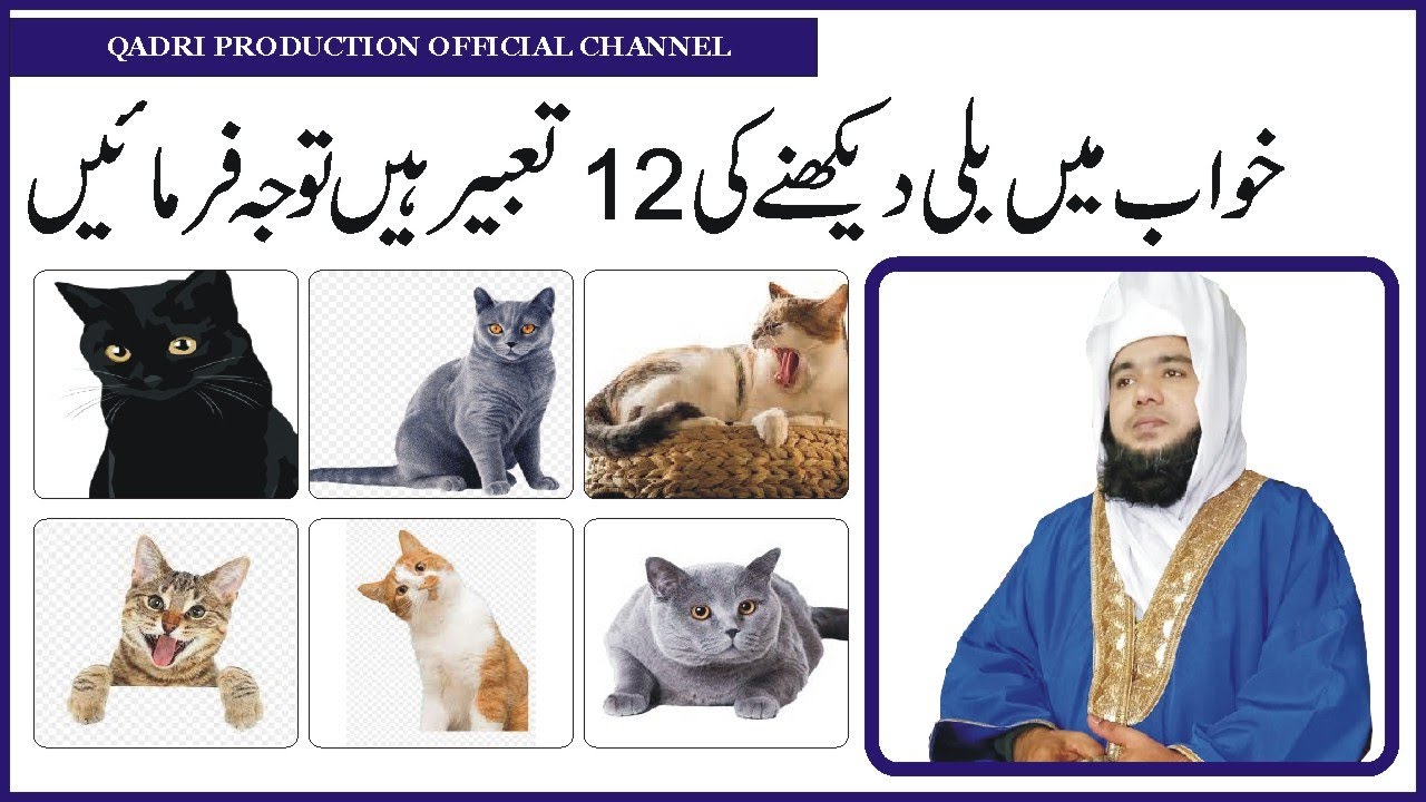 khwab mein billi dekhna uski tabir | Peer Abdul Qadeer Al-Razaqi Al-Qadri
