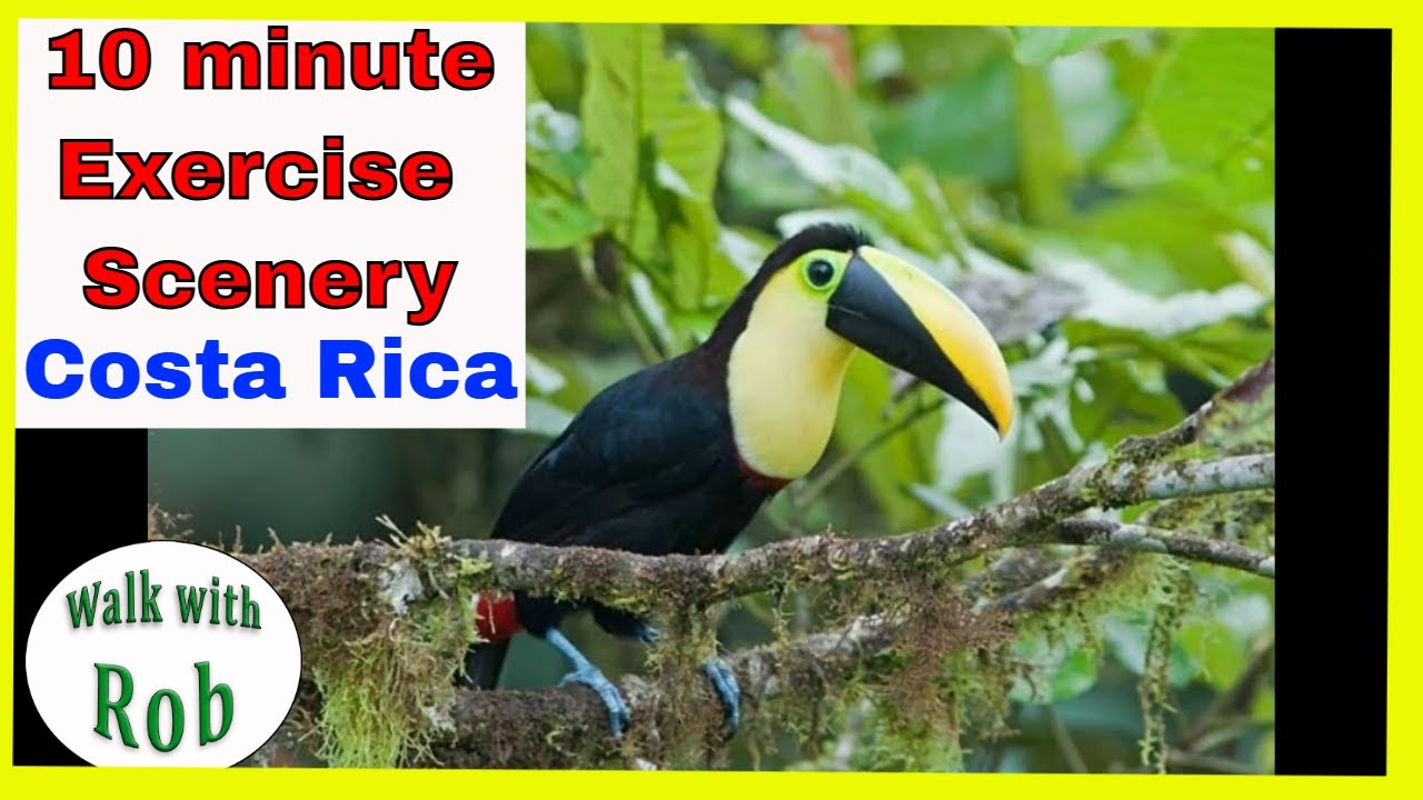 10 minute Excercise Scenery in the Jungle in Costa Rica
