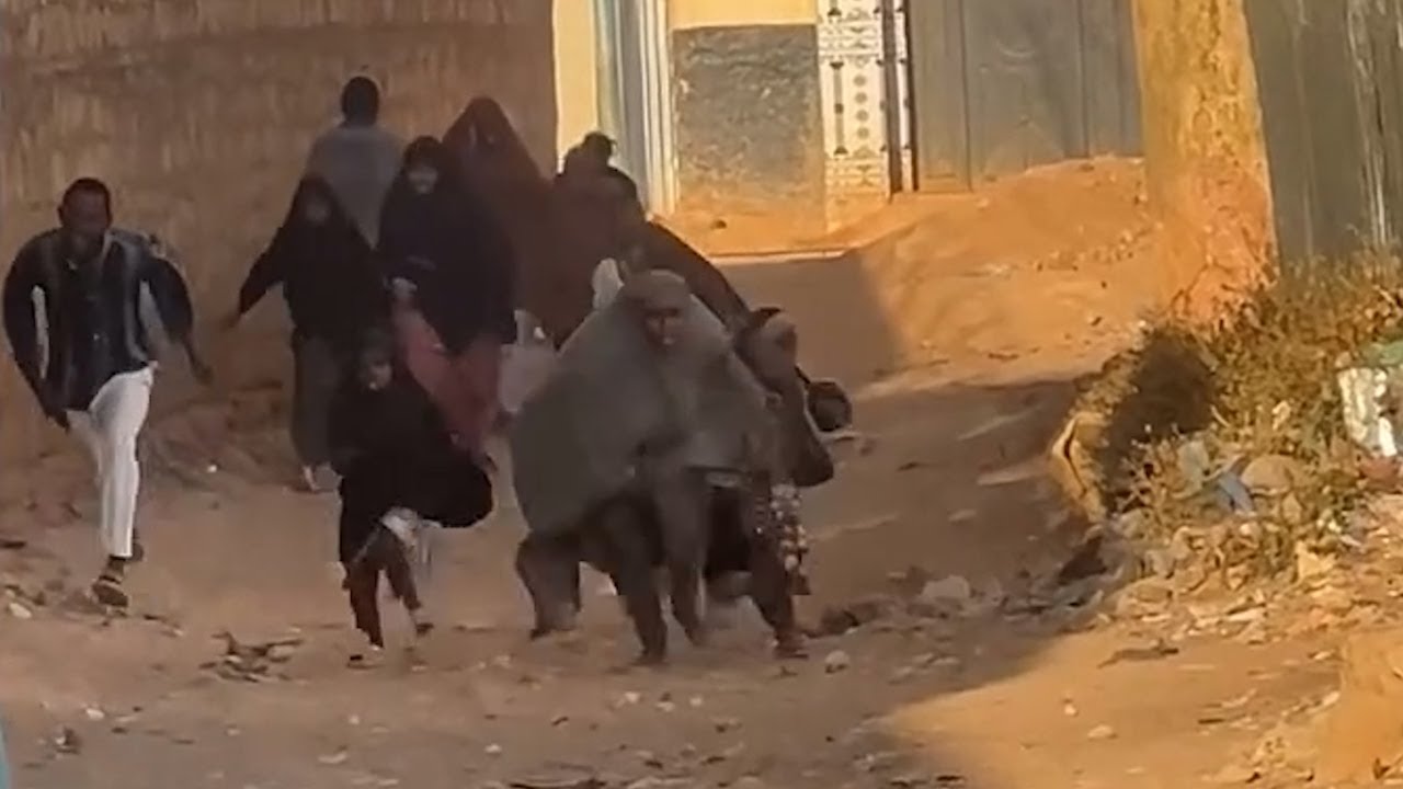 dagaal Baydhabo ku dhaxmaraya ciidanka Koonfurgalbeed iyo ciidamo raacsan Wasiir Xasan Eelay.