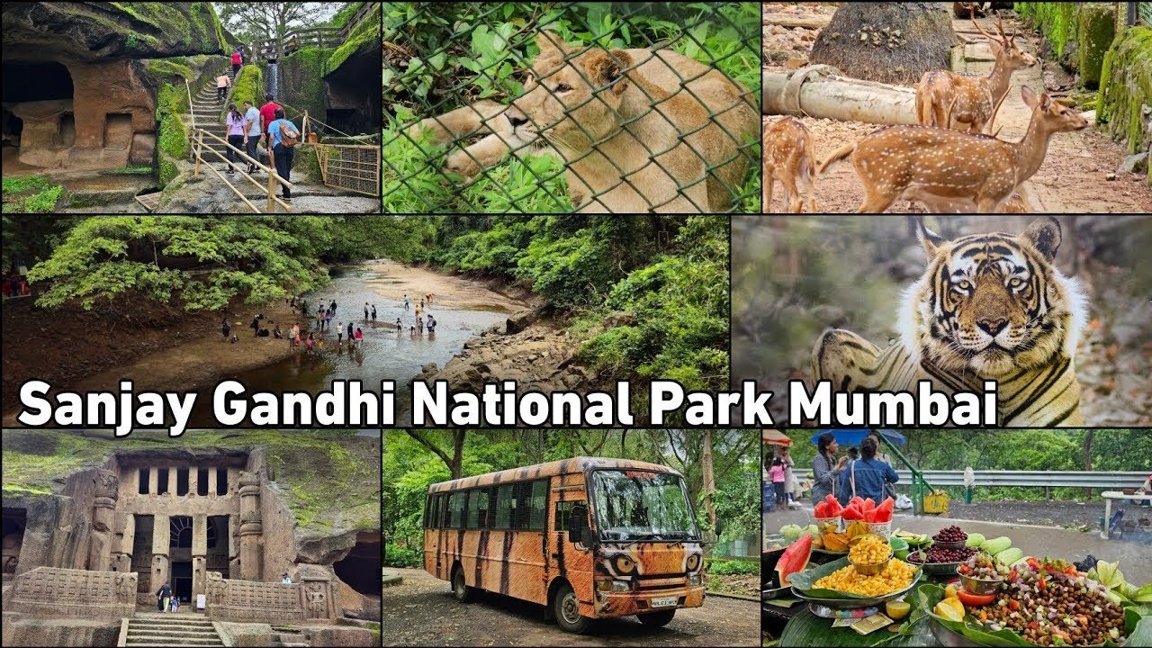 SANJAY GANDHI NATIONAL PARK BORIVALI MUMBAI ❤️😄