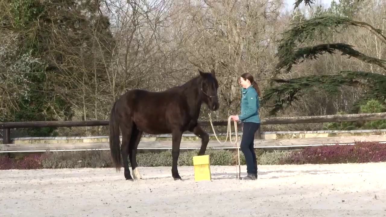 How to Motivate a Lazy/Slow Youngster so that he is interested and happy to work with you