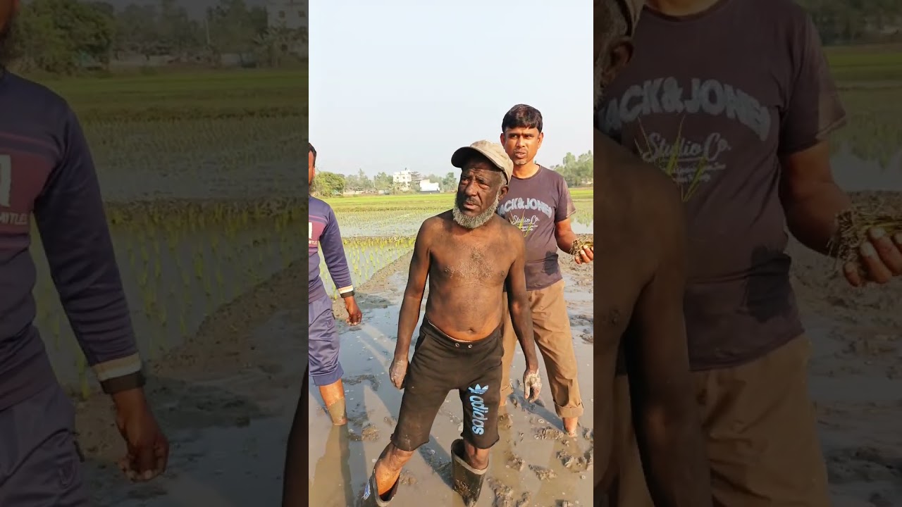 😀বিখ্যাত কামলা😀