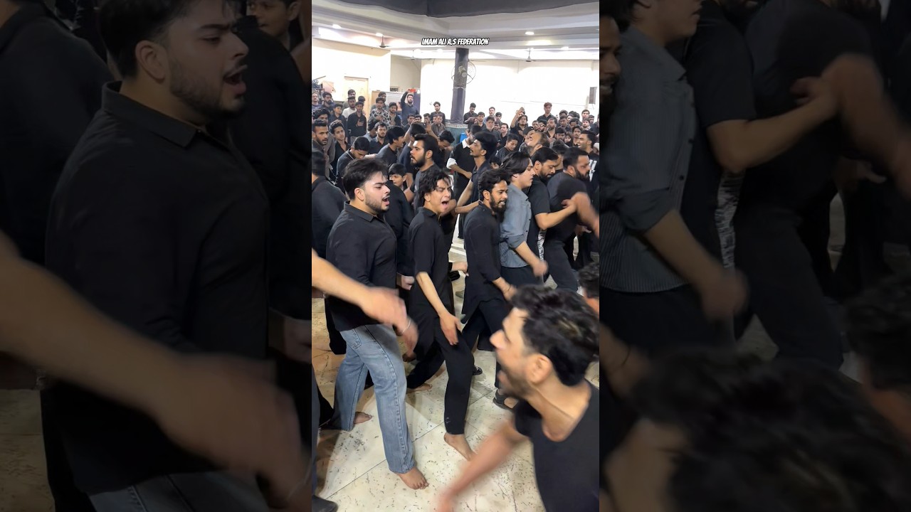 Nohakhwan- Ali Naqi #imamalifederation