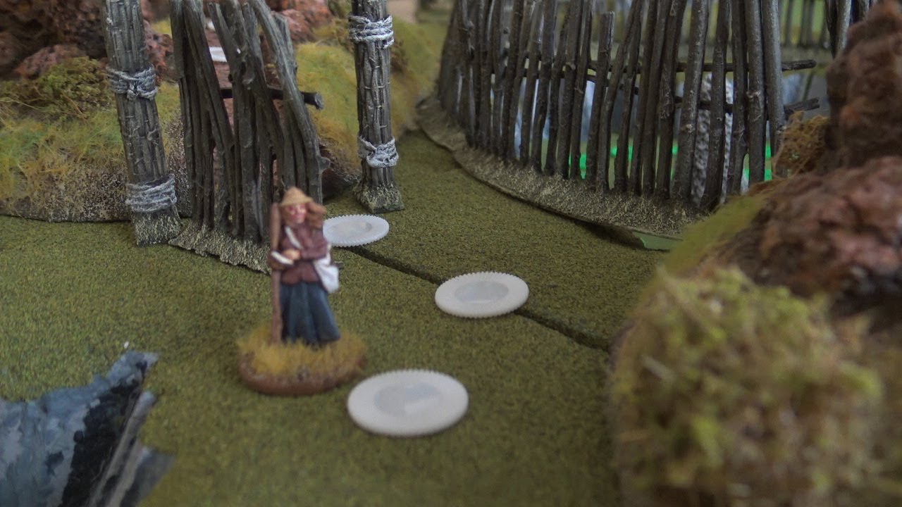 Congo Campaign   Conclusion and Comments