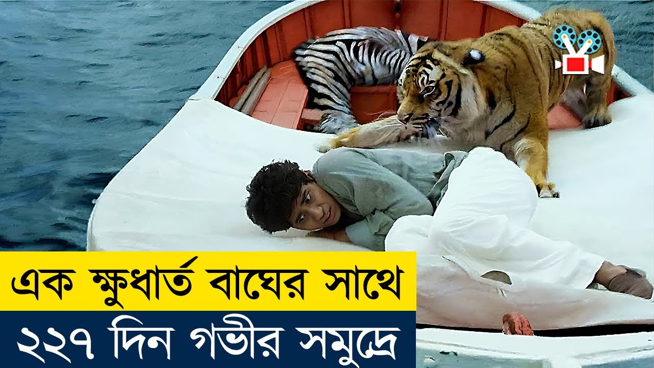 😰 ভয়ঙ্কর বাঘের সাথে ২২৭ দিন মাঝ-সমুদ্রে | Movie Explained in Bangla | Cine Recaps BD