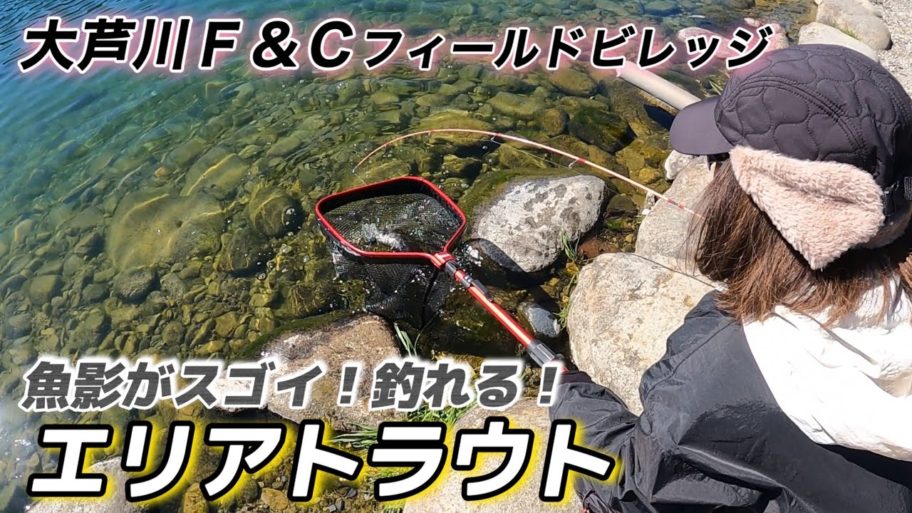 魚影がすごい！クリアウォーターで釣れる！大芦川f&cフィールドビレッジ［エリアトラウト］