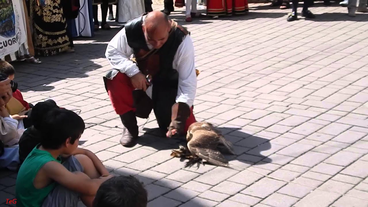 Falconeria Maestra - seconda parte -  Ferie medievali Pavone Canavese 2014