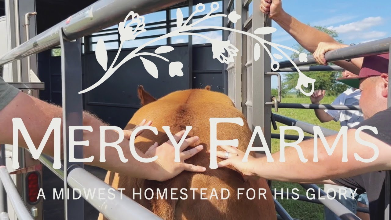 Our Fastest cow load up yet!