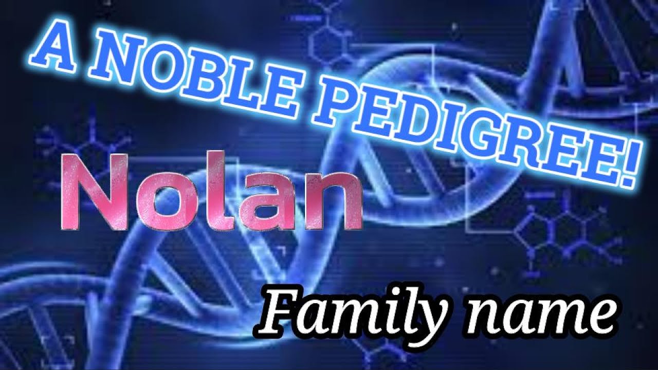 A Noble Pedigree - 'Nolan' Family Name