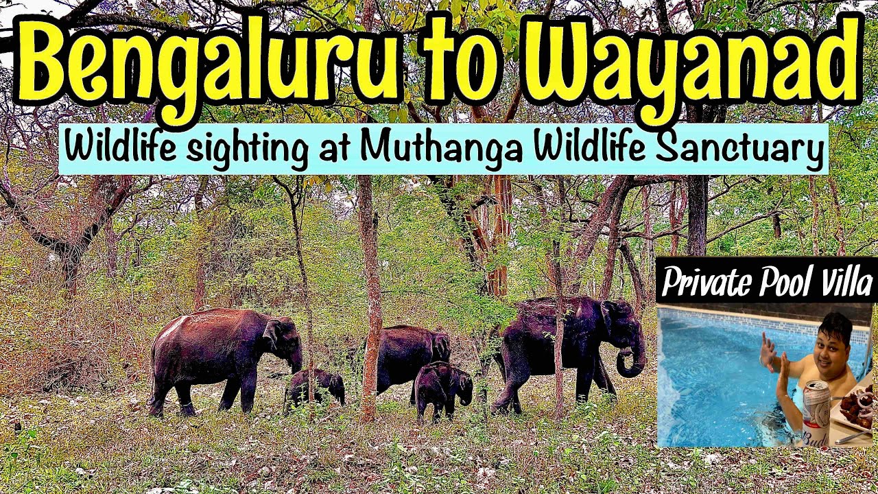 South India EP 06: RoadTrip | Bengaluru to Wayanad | Karapuzha Reservoir | Kerala | Roving Couple