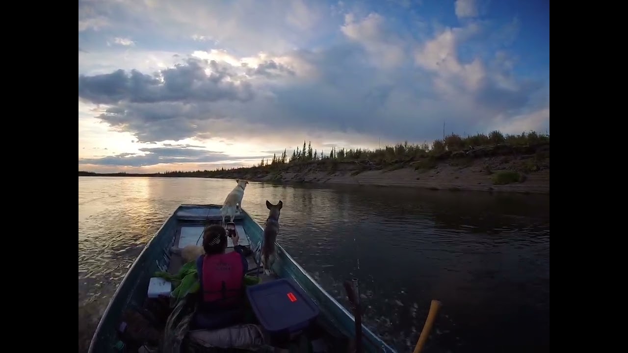 Porcupine river 