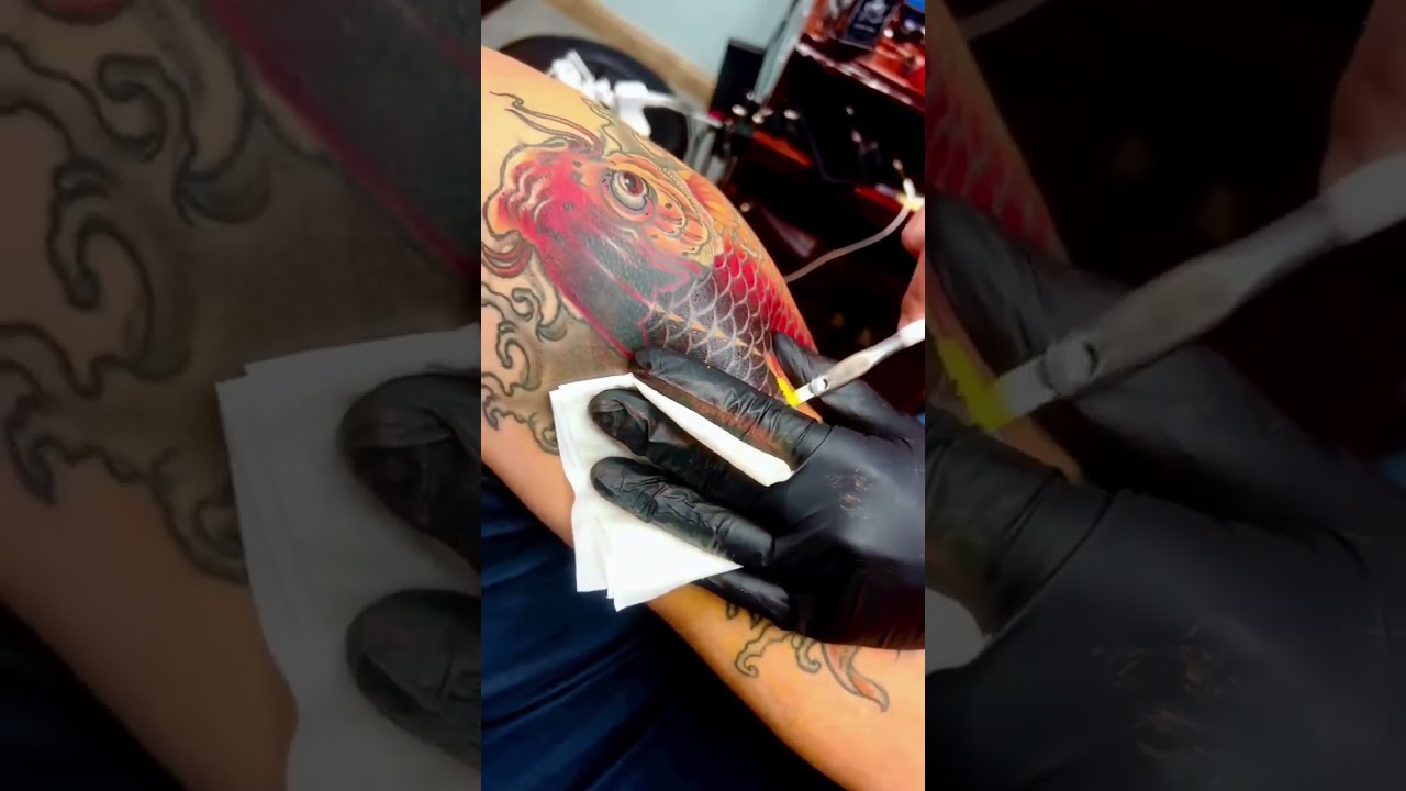 TEBORI TATTOO #tebori #oriental #carpa #tattoo #tatuagem #mistertrends #50k