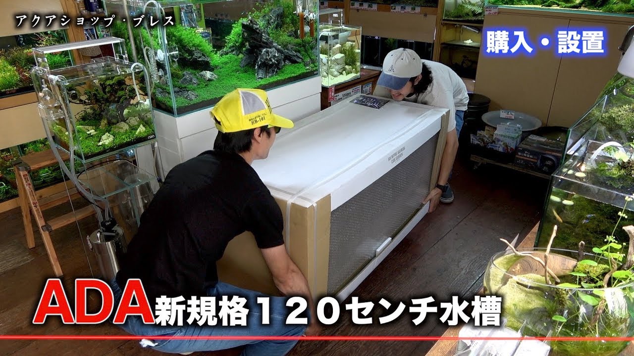 ADA新規格１２０センチ水槽購入。来年のコンテストは１２０で行きます。