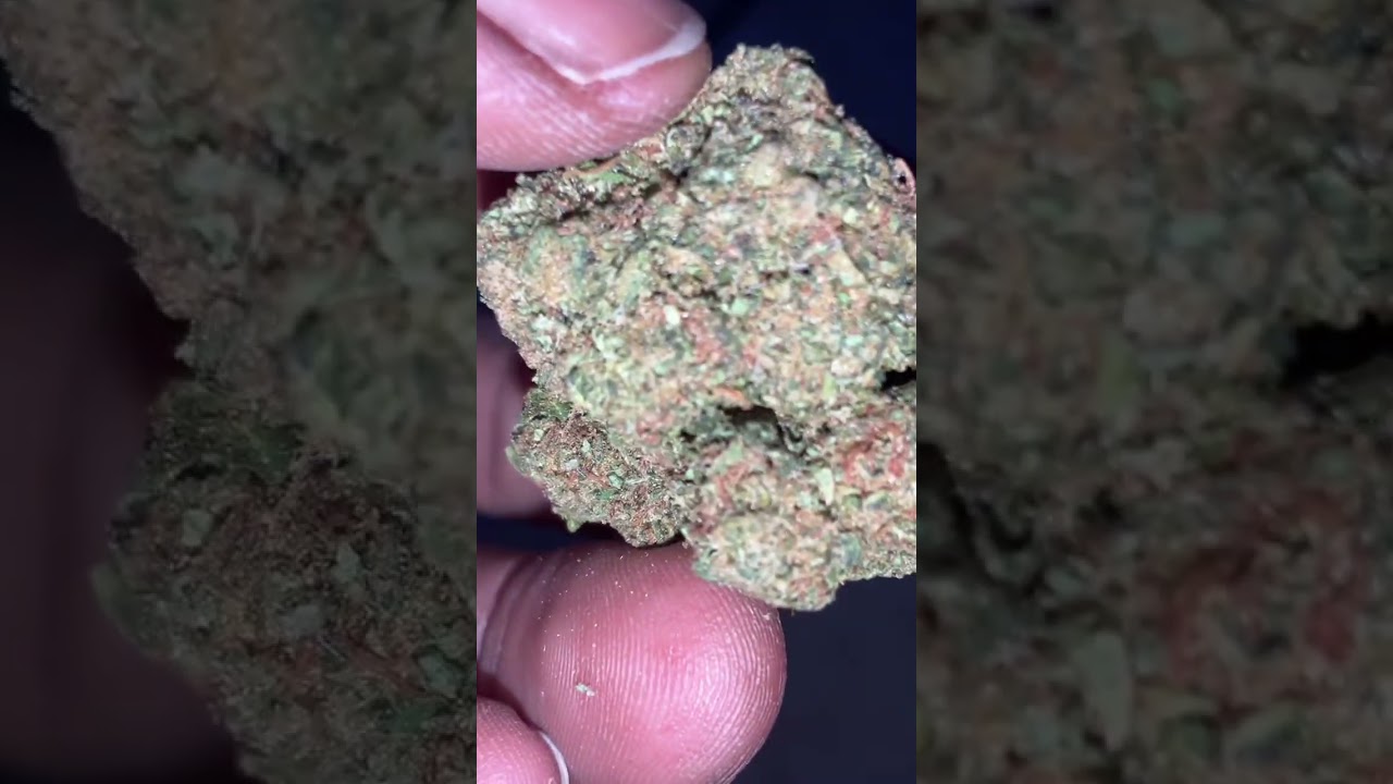 BLACK VALENTINE 🖤✔️ From LIT FARMS !