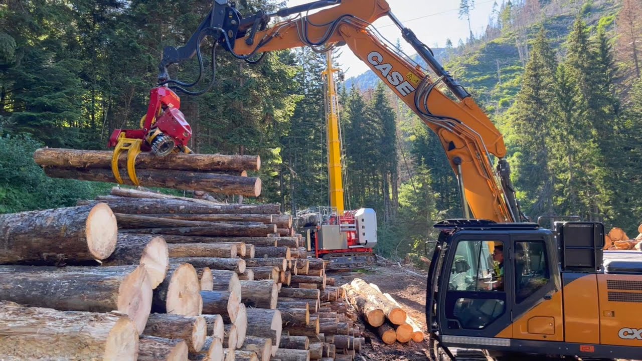 Case CX 210D & WOODY H70 ◇ Roadside Processing