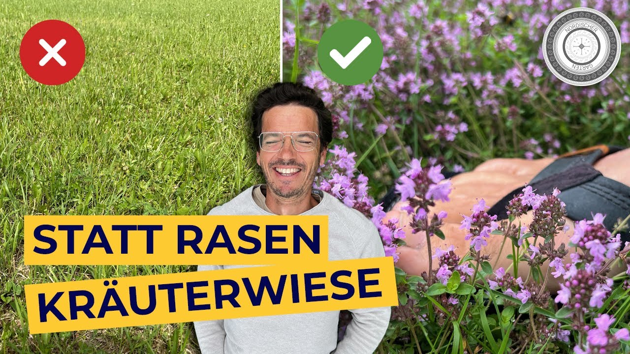 STATT NUTZLOSEM Englischen Rasen - SINNVOLLER KRÄUTERRASEN für Insekt und Mensch
