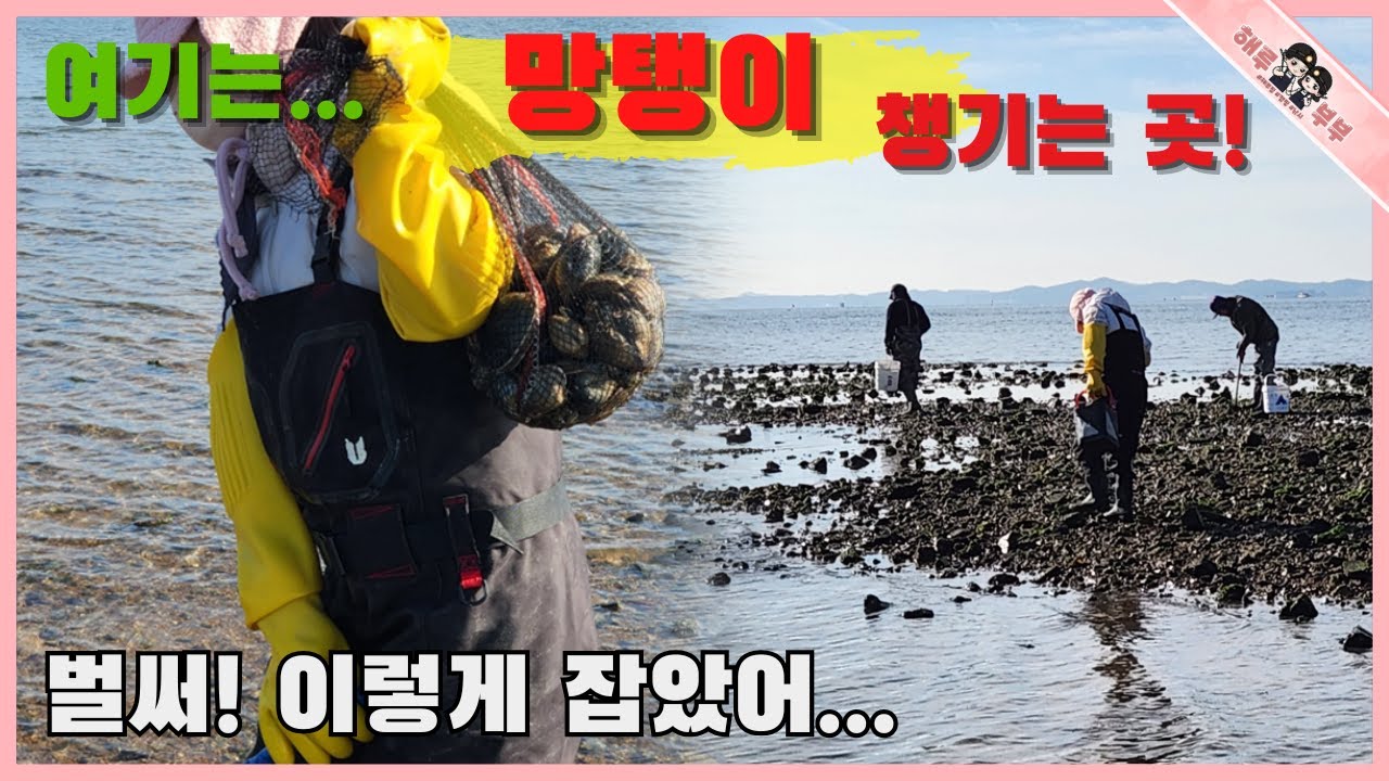 서해안 해루질 갈때는 꼭 망탱이 챙겨야 후회하지 안아요!