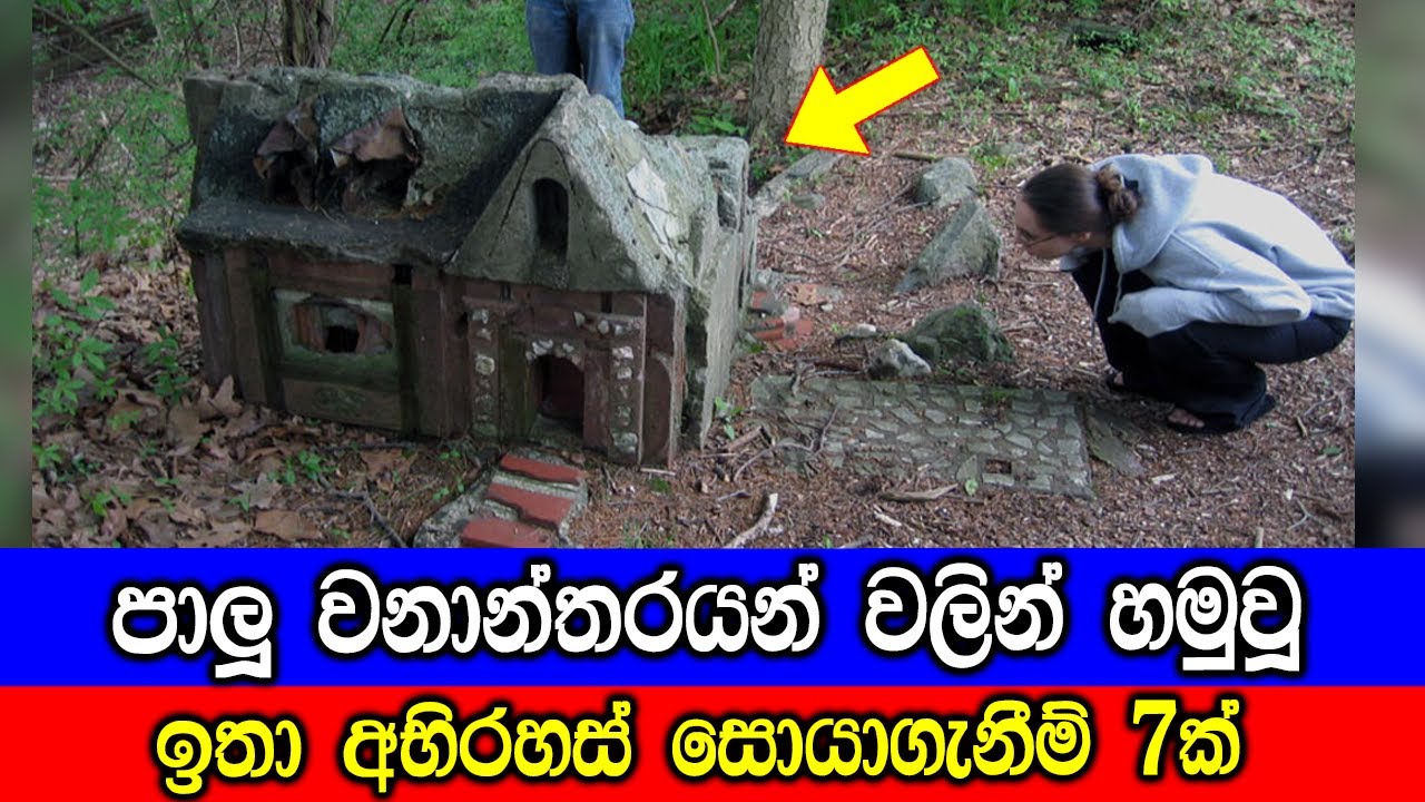 වනාන්තරයන් වලින් හමුවූ අභිරහස් සොයාගැනීම් 7ක්. | Mysterious Things Found In The Woods.