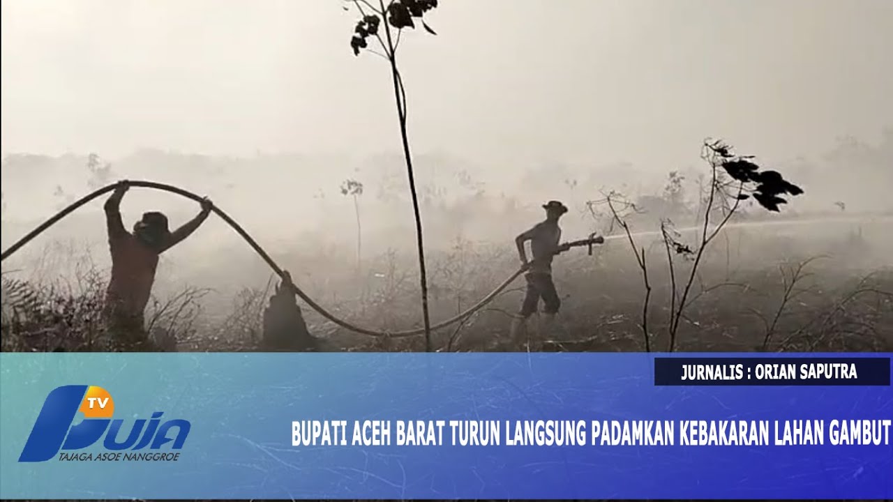 Bupati Aceh Barat Turun Langsung Padamkan Kebakaran Lahan Gambut