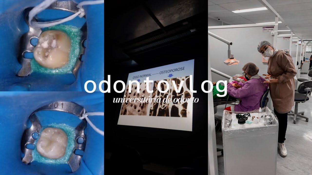 minha rotina UNIVERSITÁRIA | primeira restauração oficial & aulas