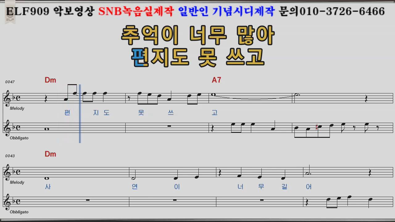 나훈아 울지도못합니다
