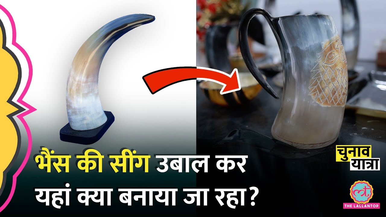 यूरोप के लोग भैंस की सींग से बनी ये चीजें भारत से मंगा रहे हैं। Sambhal| Election 2024