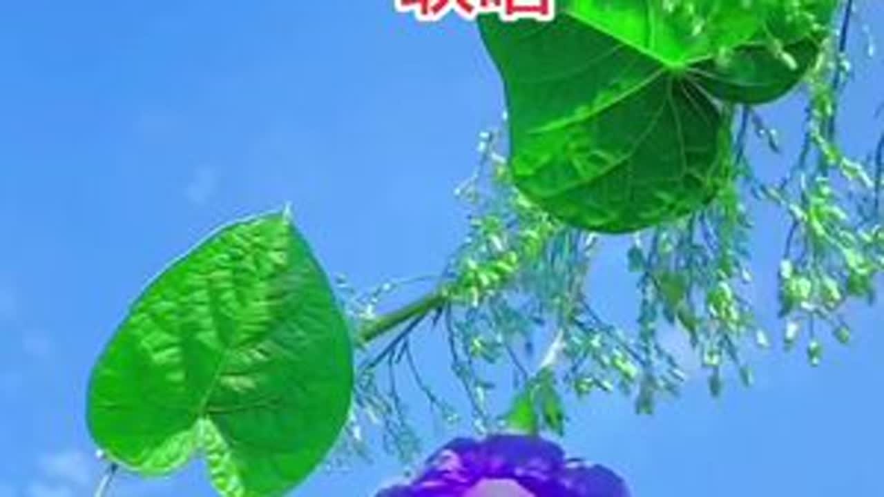 #大自然的馈赠 #自然风景