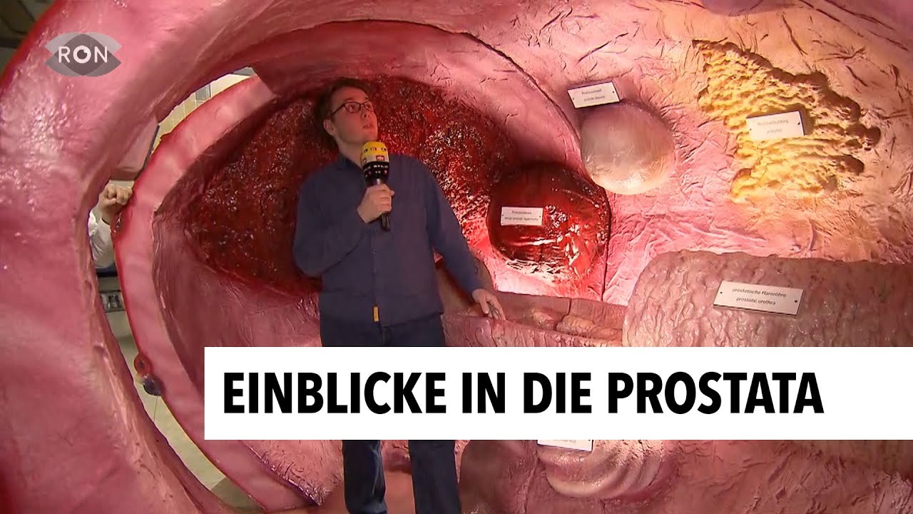Zu Besuch in einer Prostata | RON TV