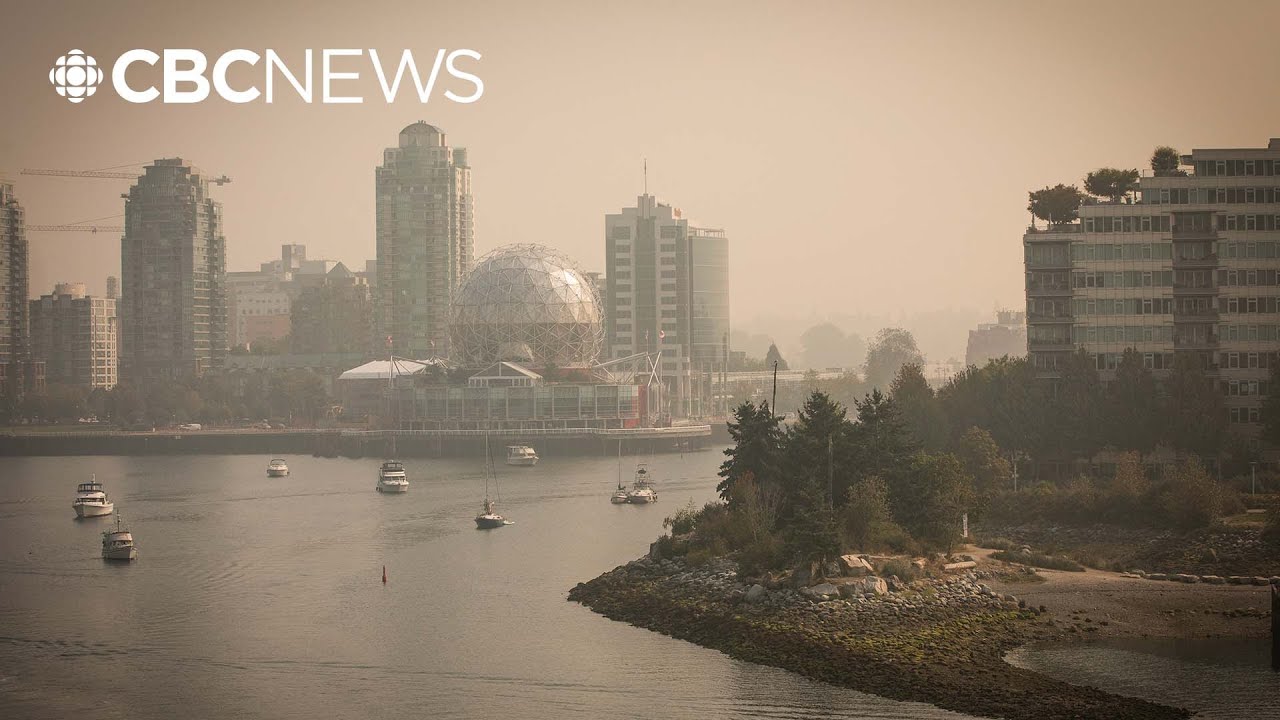 Province provides wildfire update as smoke, heat blanket B.C.