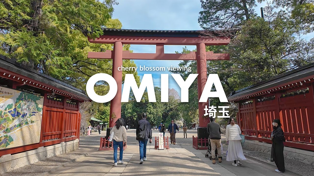 Only 30 Minutes from Tokyo! Explore Omiya and Cycle Japan&rsquo;s Longest Shrine Path