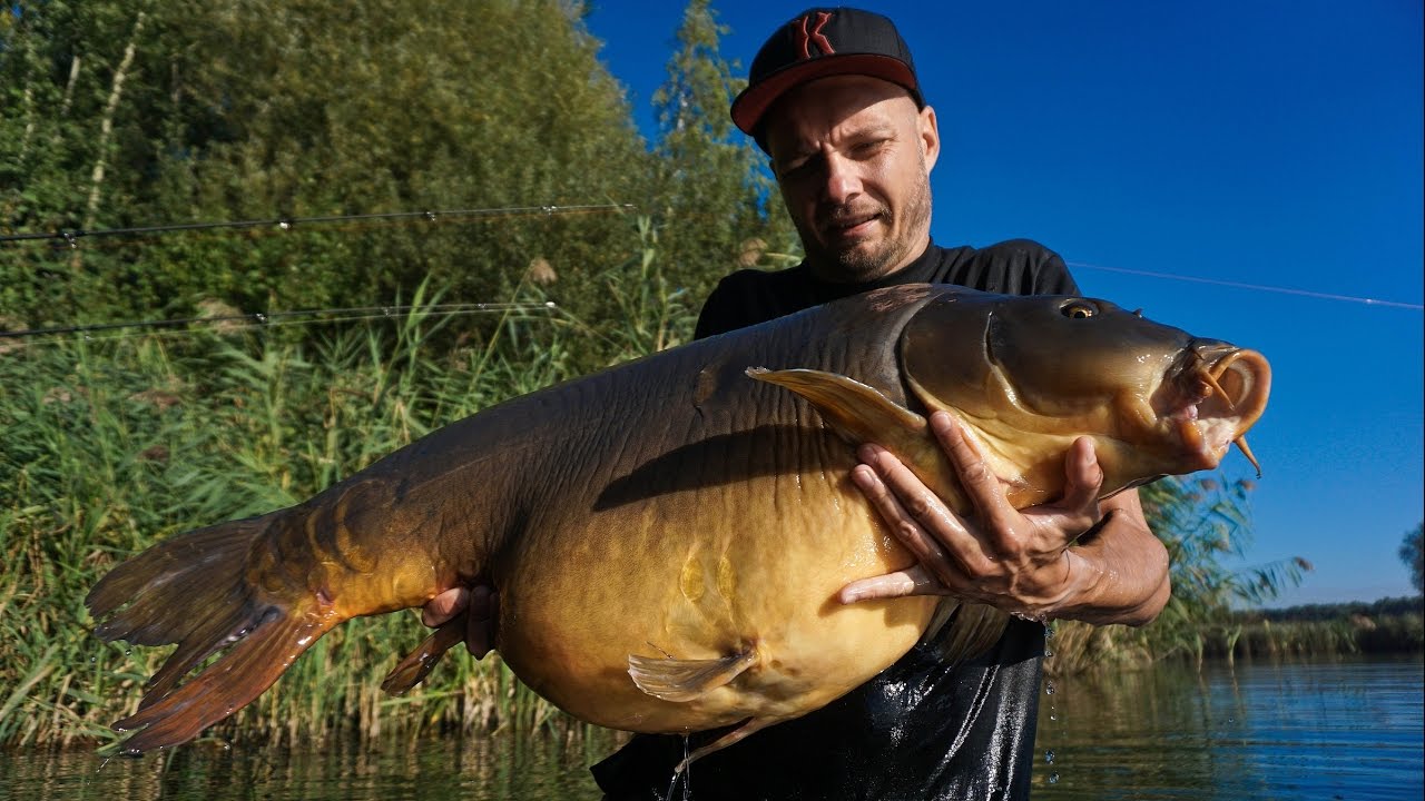 Zasiadka Karpiowa -  Dębowa 2016 z NOsKILL - Karp 24.65