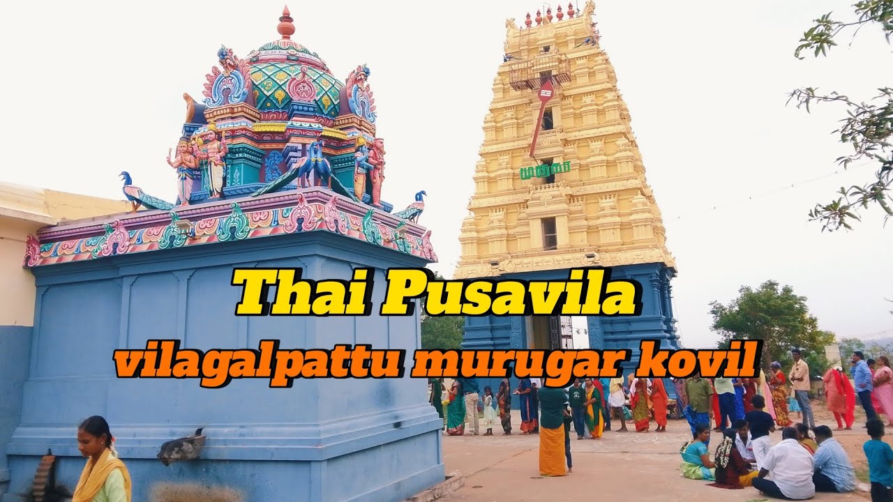 தை பூசம் விலங்கல்பட்டு முருகர் கோயில் / vilagalpattu murugar kovil 
