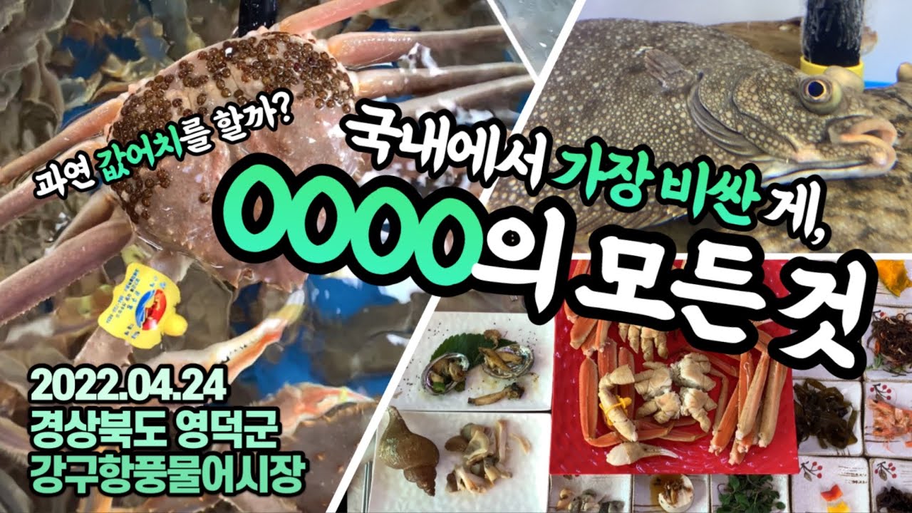 킹크랩보다 비싼 최상위 1% 대게, 과연 그 값을 할까? 실제 맛/수율? 박달대게의 모든 것을.araboza (feat.청게(a.k.a.너도대게))
