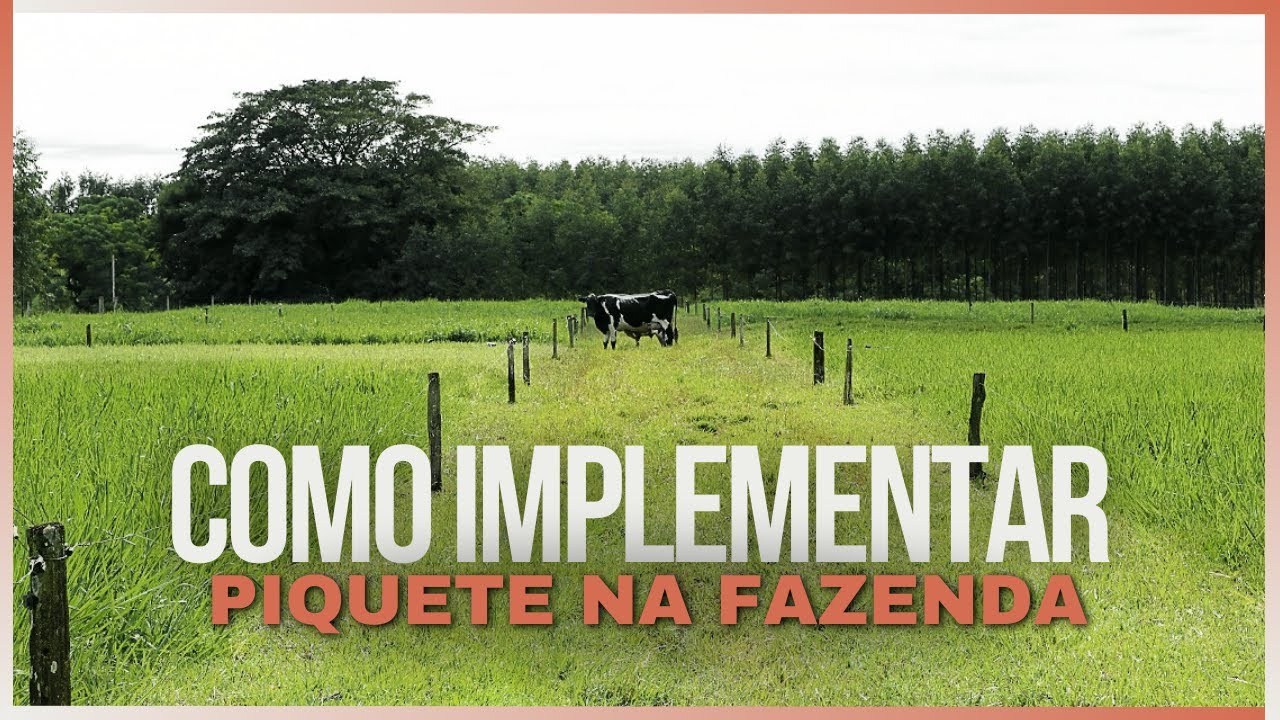 O Guia Completo para Implementar Piquetes Rotacionados com Sucesso!
