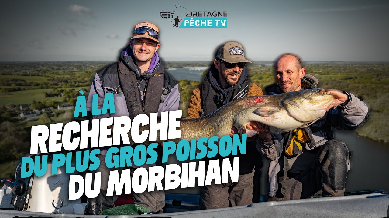 A la recherche du plus gros poisson du Morbihan 🐋 P&ecirc;che du Silure sur la basse Vilaine (56)