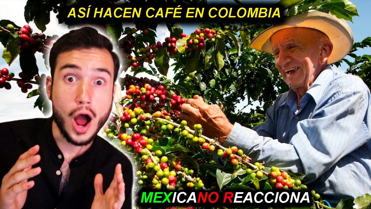 ASÍ HACEN el CAFÉ en COLOMBIA 🇨🇴😱 ¿El Mejor del Mundo? 🌎 MEXICANO REACCIONA